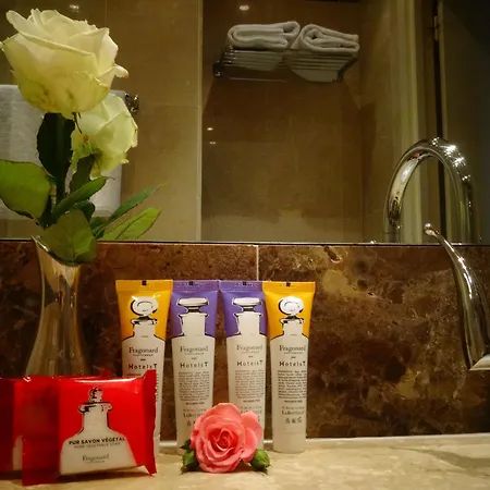 Отель Hotel Prince De Conti - Hotel Renove 3*